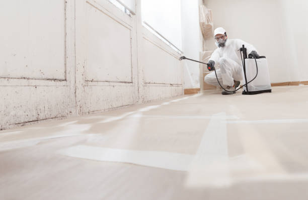 24/7 Emergency Commercial Mold Remediation experts in Lexington, NC