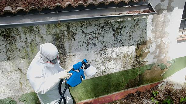 Top rated local Commercial Mold Remediation specialists in Lexington, NC